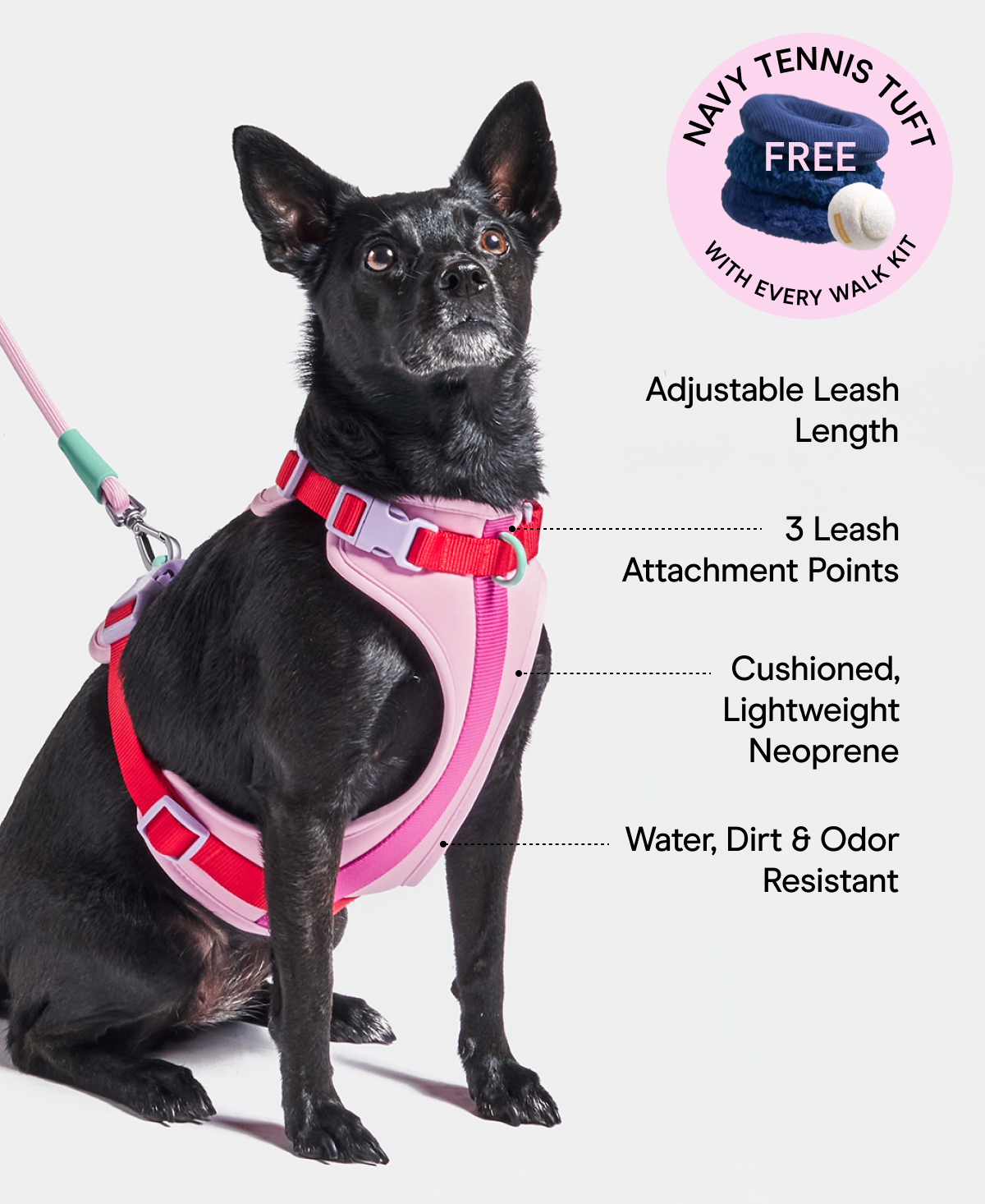 Why You'll Love Our Walk Kit FREE Adjustable Leash Length 3 Leash Attachment Points Cushioned, Lightweight Neoprene Water, Dirt & Odor Resistant