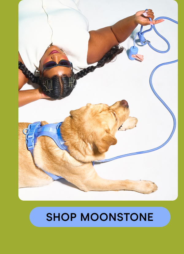 shop moonstone