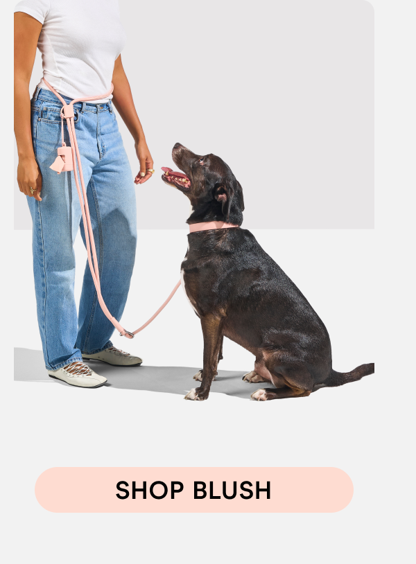 SHOP BLUSH