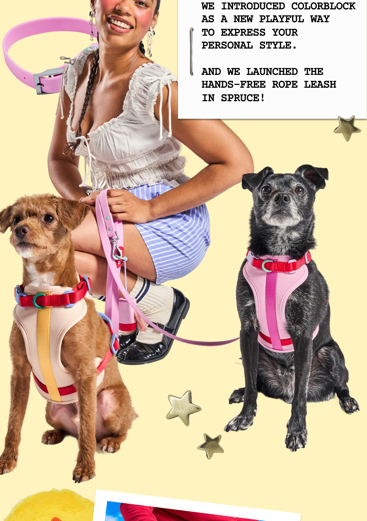 WE INTRODUCED COLORBLOCK AS A NEW PLAYFUL way to express your personal style.  And we launched the hands-free rope leash in spruce!