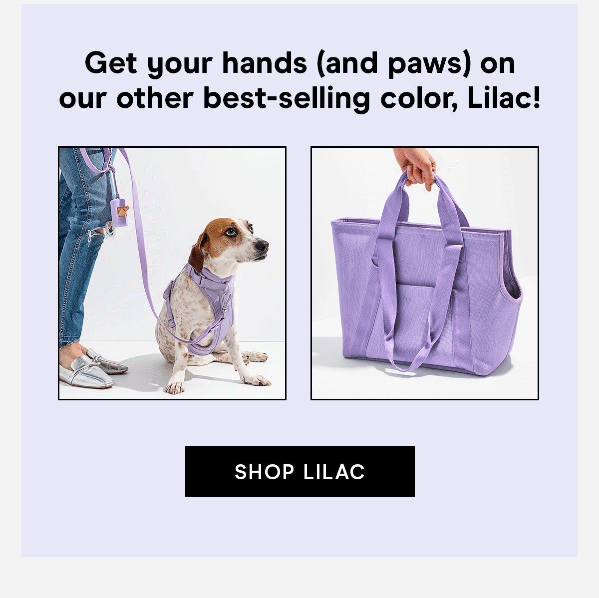 Get your hands (and paws) on our other best-selling color, Lilac!
