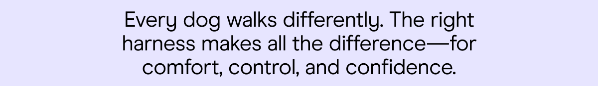 every dog walks differently. The right harness makes all the difference for comfort, control, and confidence 