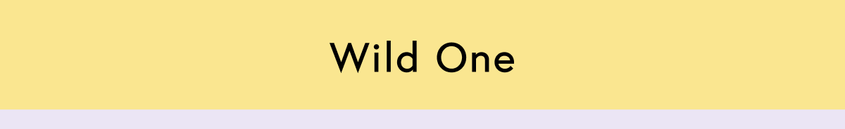 wild one - sale ends tonight