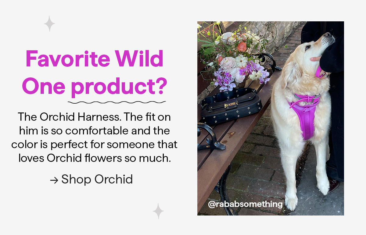 Favorite Wild One product? Orchid Harness.