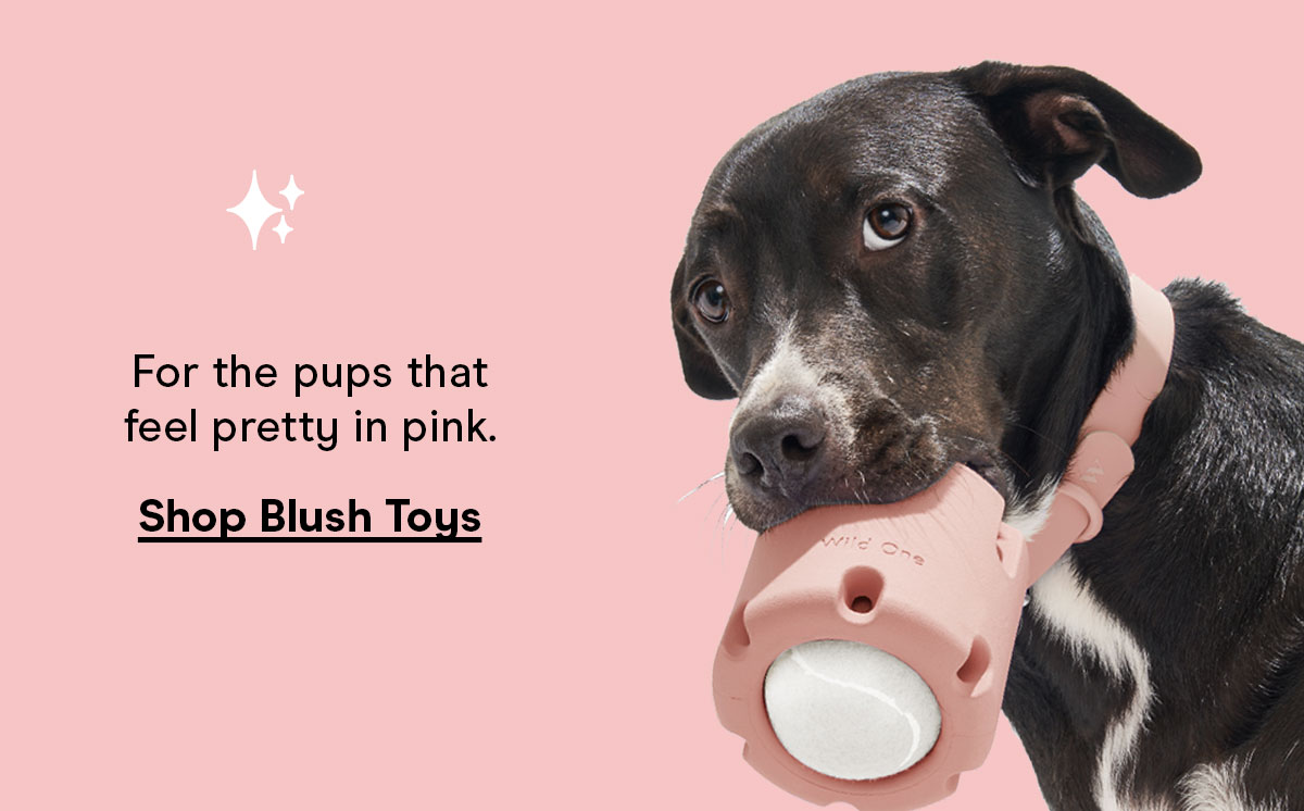 For the pups that feel pretty in pink. Shop Blush Toys