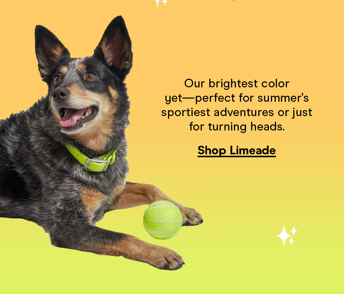Our brightest color yet— perfect for summer's sportiest adventures or just for turning heads. Shop Limeade