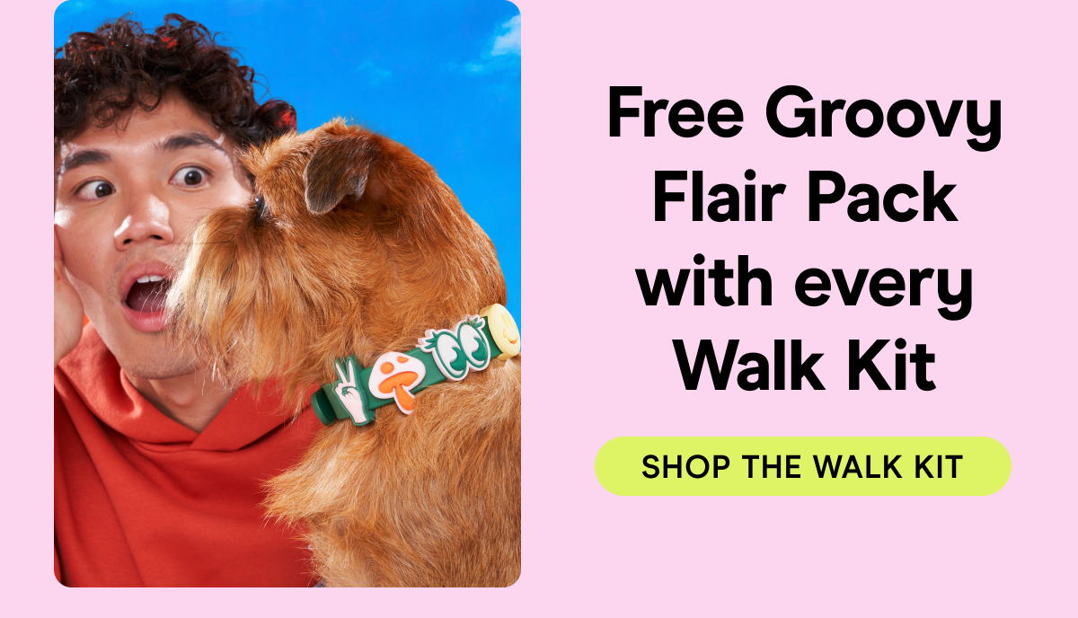 FREE GROOVY FLAIR PACK WITH EVERY WALK KIT shop the walk kit