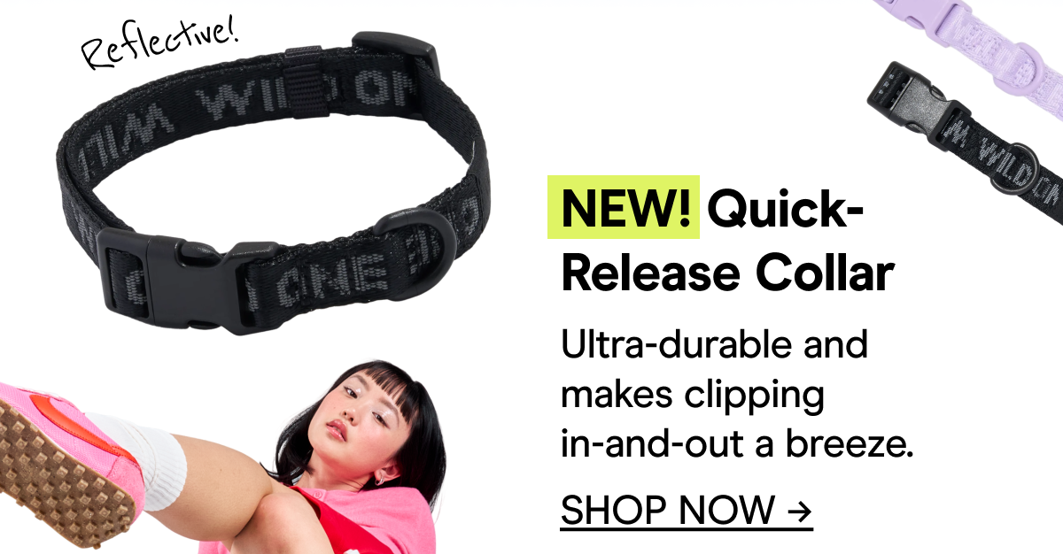 NEW! Quick-Release Collar Ultra-durable and makes clipping in-and-out a breeze. SHOP NOW →
