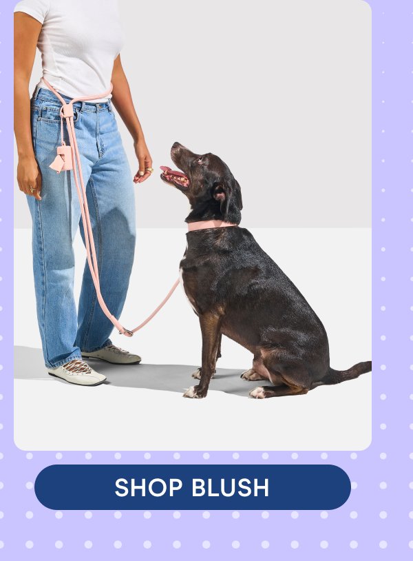 SHOP BLUSH