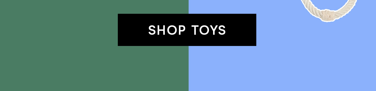 Shop Toys