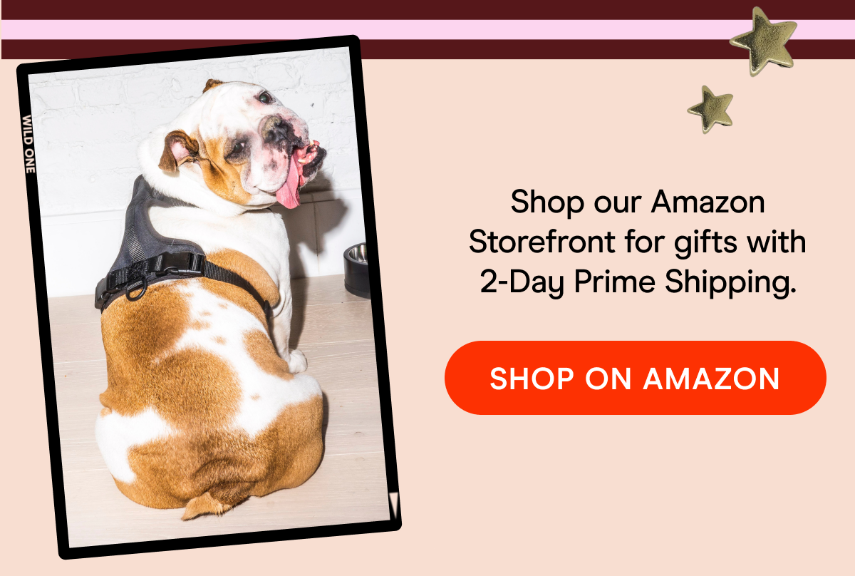 Shop our Amazon Storefront for gifts with 2-Day Prime Shipping.  SHOP ON AMAZON