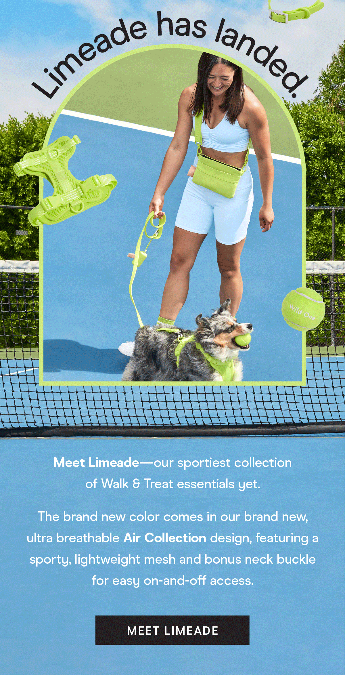 Limeade has landed. Meet Limeade— our sportiest collection of Walk & Treat essentials yet. The brand new color comes in our brand new, ultra breathable Air Collection design, featuring a sporty, lightweight mesh and bonus neck buckle for easy on-and-off access). Meet Limeade