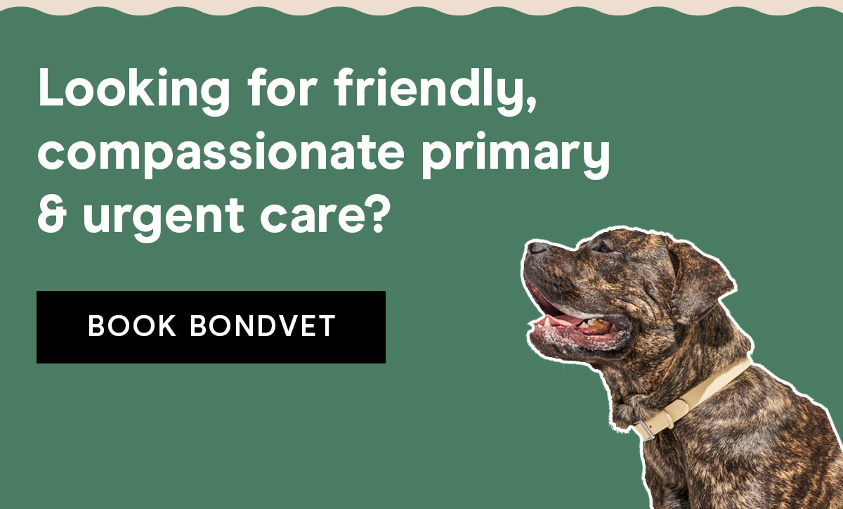 Looking for friendly, compassionate primary & urgent care? Book BondVet