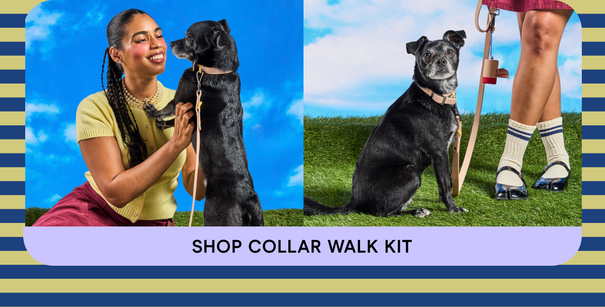 shop collar walk kit