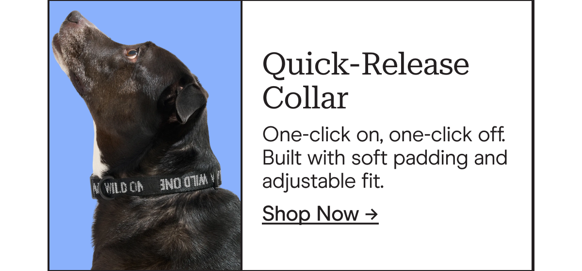 quick-release collar one click on, one click off. built with soft padding and adjustable fit.