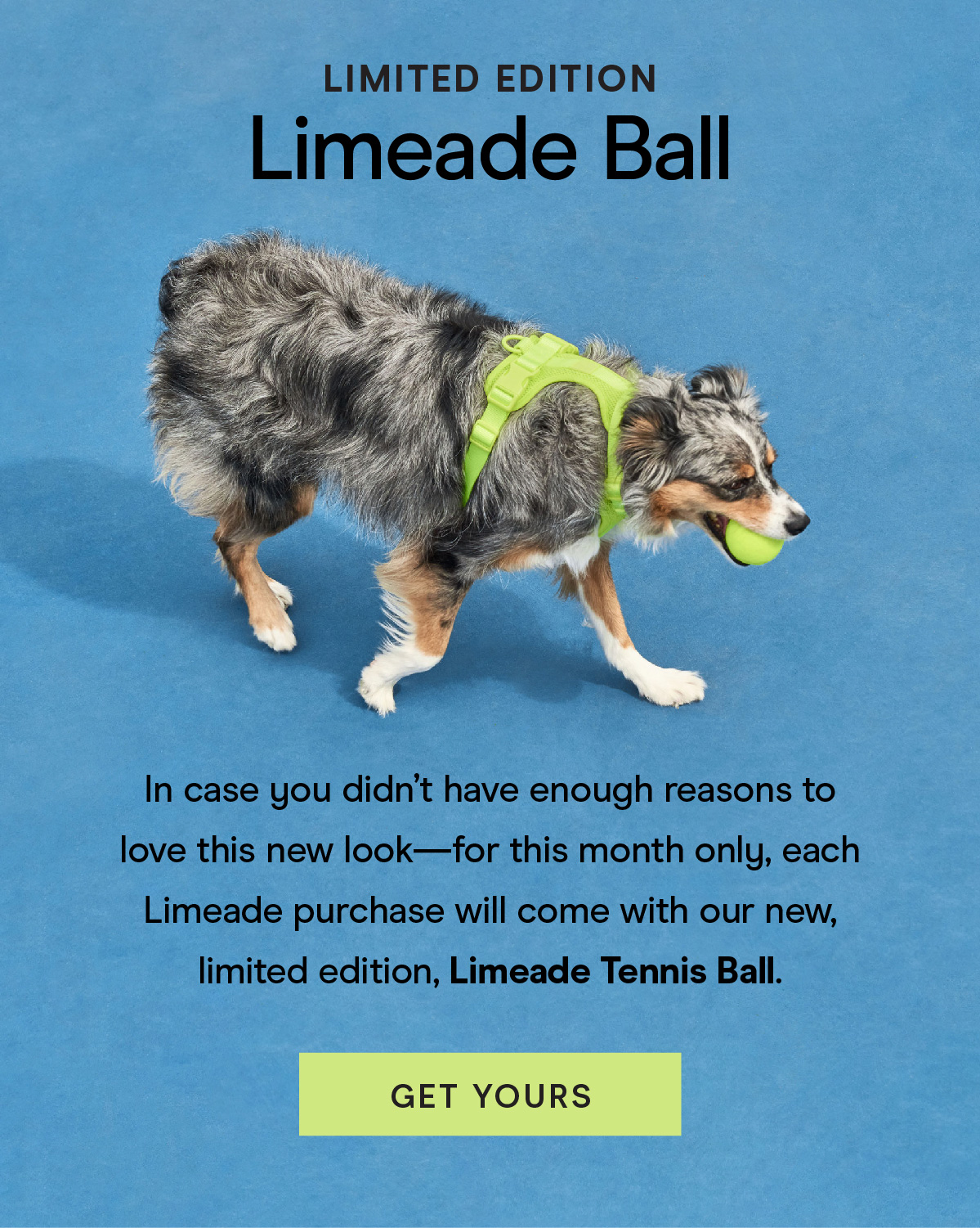 Limited Edition Limeade Ball In case you didn't have enough reasons to love this new look— for this month only, each Limeade purchase will come with our new, limited edition, Limeade Tennis Ball. Get yours