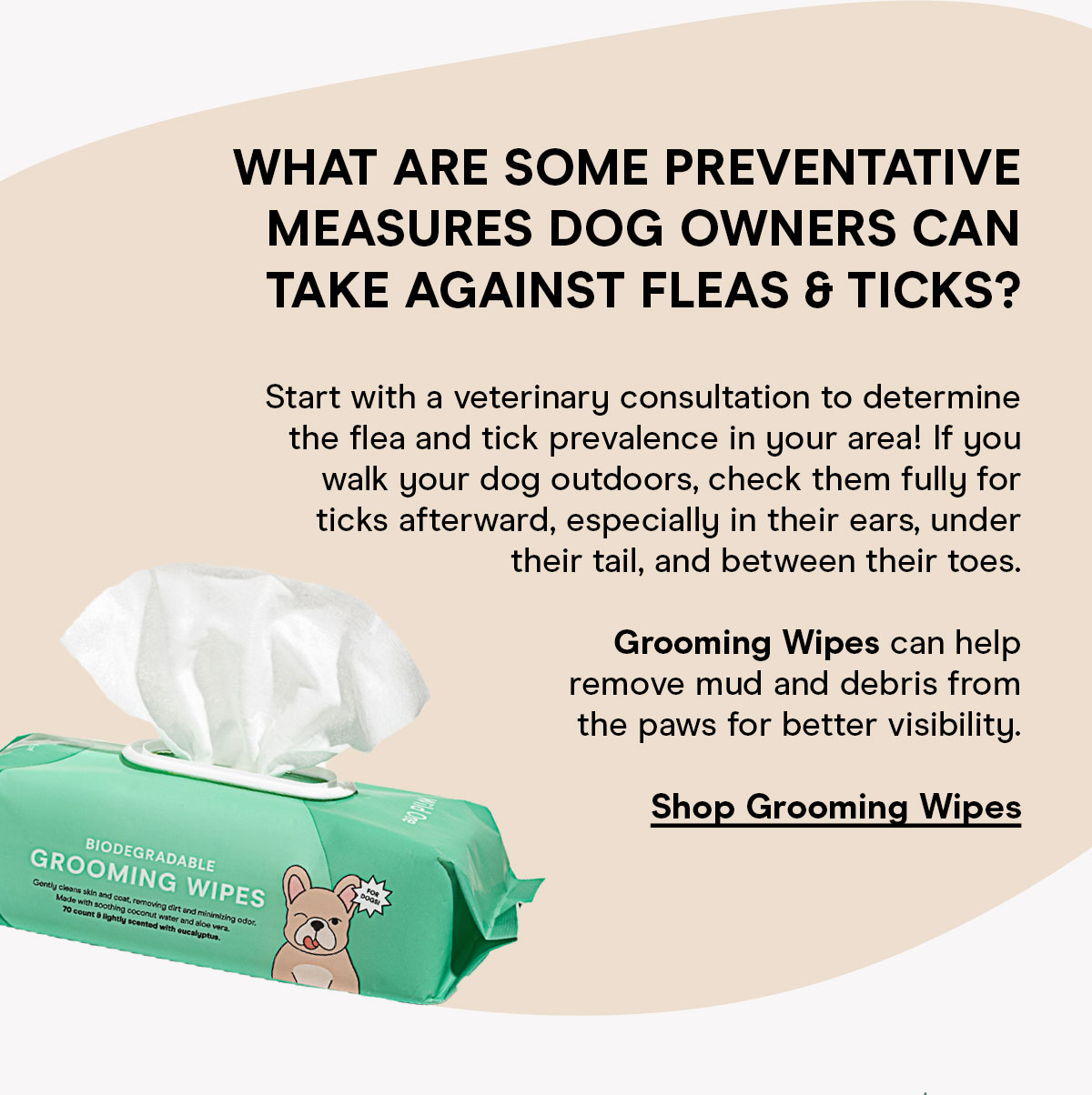 What are some preventative measures dog owners can take against fleas & ticks? Shop Grooming Wipes