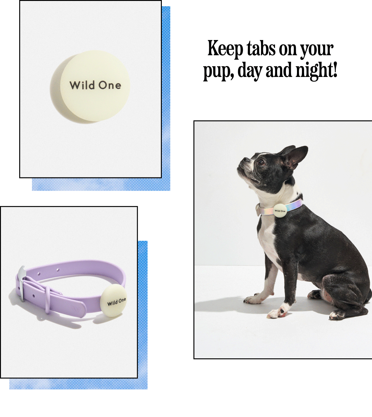 Keep tabs on your pup, day and night!