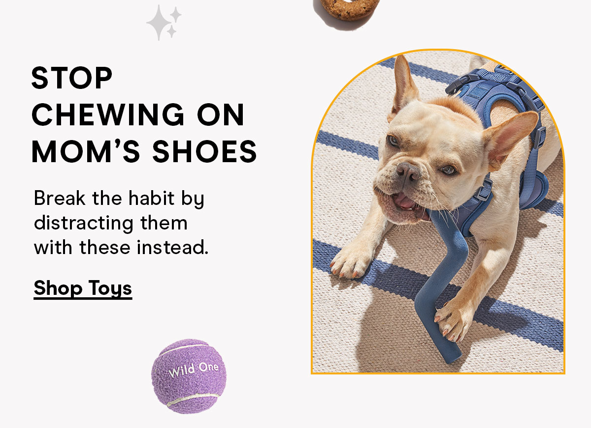 Stop Chewing on Mom's Shoes Break the habit by distracting them with these instead. Shop Toys