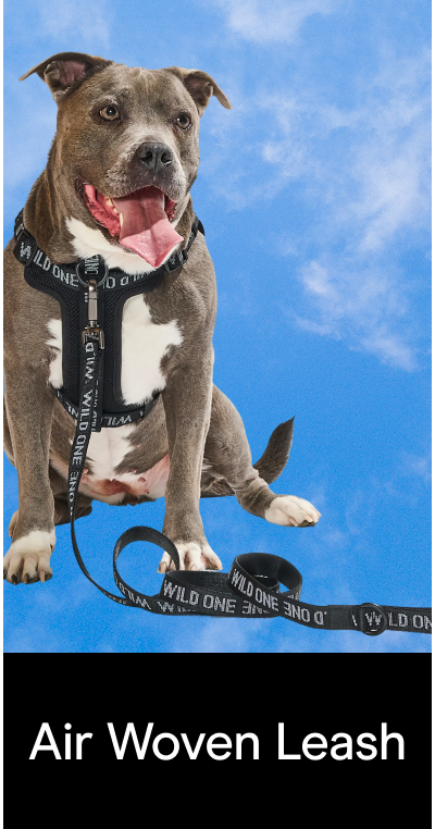 Air Woven Leash
