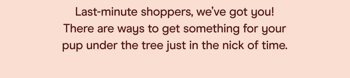 last minute shoppers, we've got you! there are ways to get something for your pup under the tree just in the nick of time 