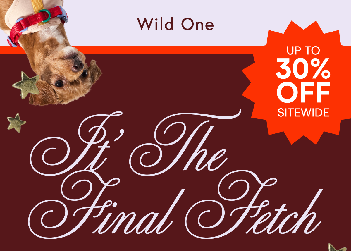 it's the final fetch