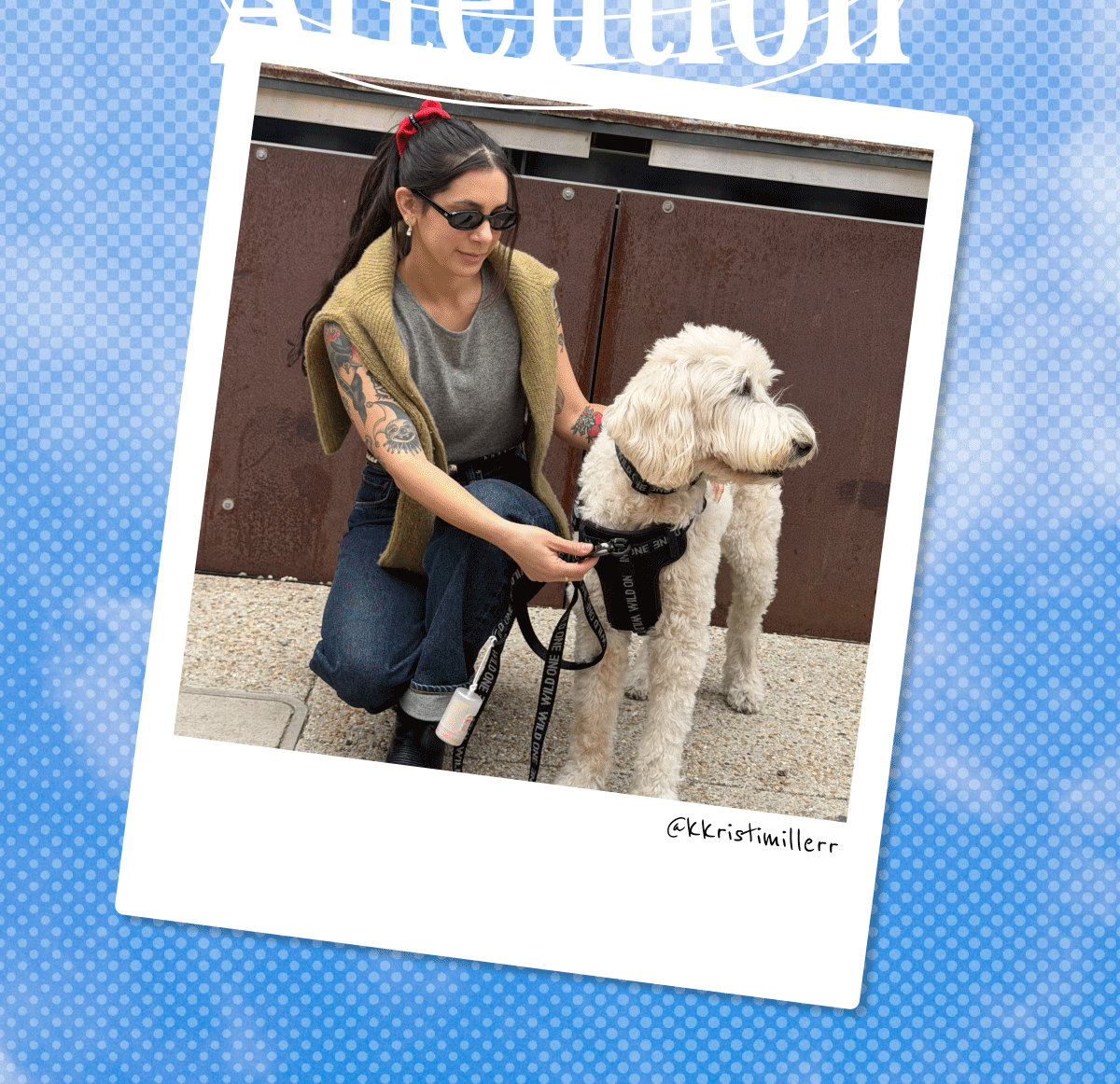 Images of our customers with their dogs collar, harnesses and leashes