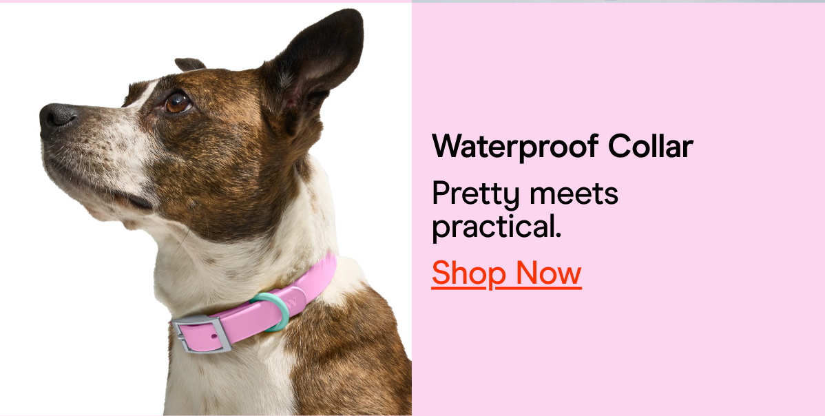 Waterproof Collar Pretty meets practical. Shop now