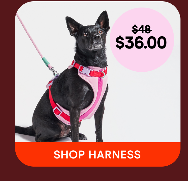 shop harness