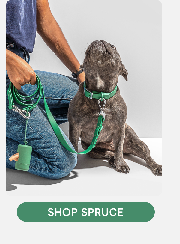 SHOP SPRUCE