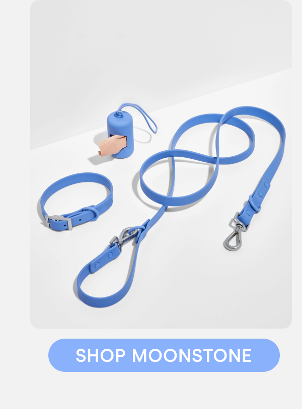 SHOP MOONSTONE
