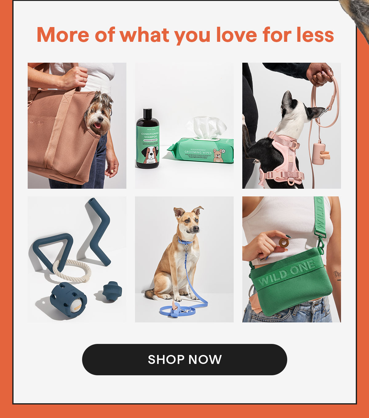 Save on your favorites, from Walk Kits to Toys, and more!