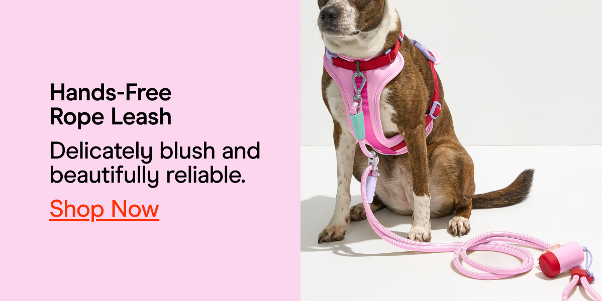 Hands-Free Rope Leash Delicately blush and beautifully reliable. Shop now 