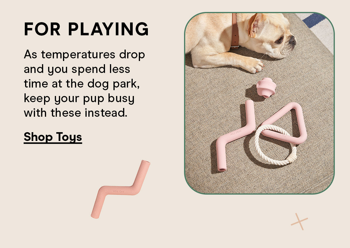 For Playing As temperatures drop and you spend less time at the dog park, keep your pup busy with these instead. Shop Toys 