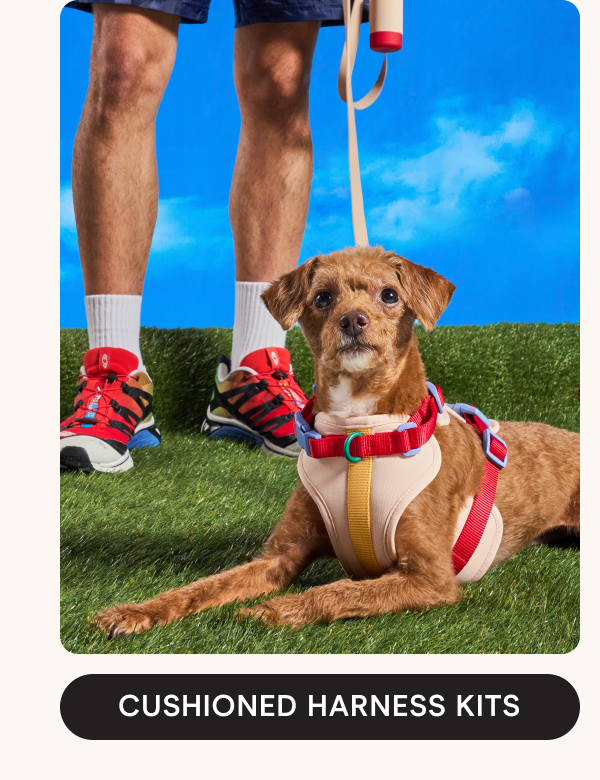 CUSHIONED HARNESS KITS