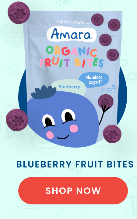 Blueberry Fruit Bites