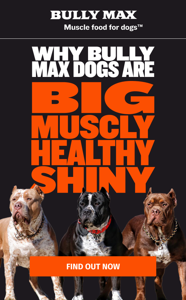 Why 99.3 of customers LOVE Bully Max… Bully Max