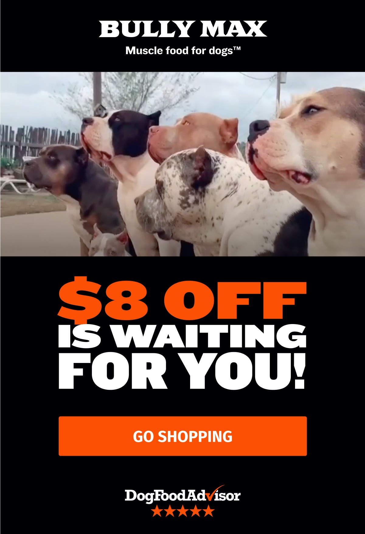 8.00 coupon inside Bully Max