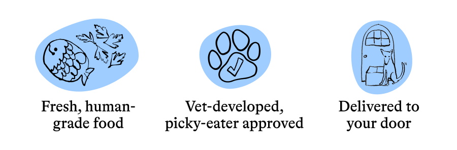 Fresh, vet-developed, delivered to your door
