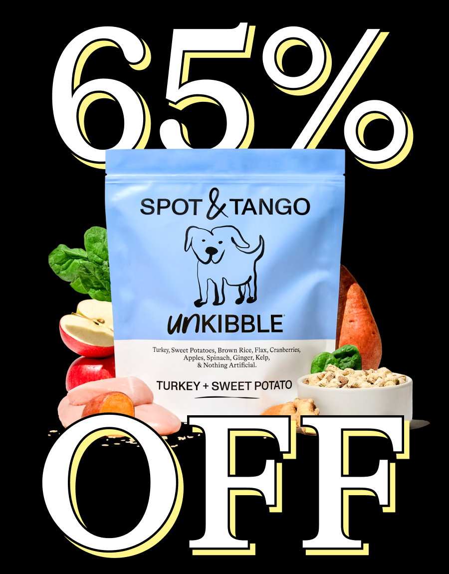 The black Friday sale: 65% OFF. Shop Now