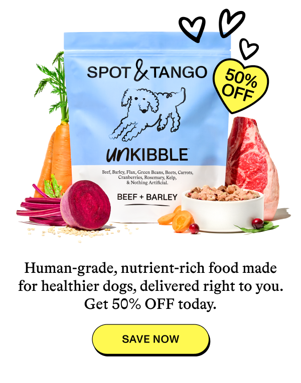 50% OFF - Human-grade, nutrient-rich food made for healthier dogs, delivered right to you. Get 50$ OFF today. Save Now. 
