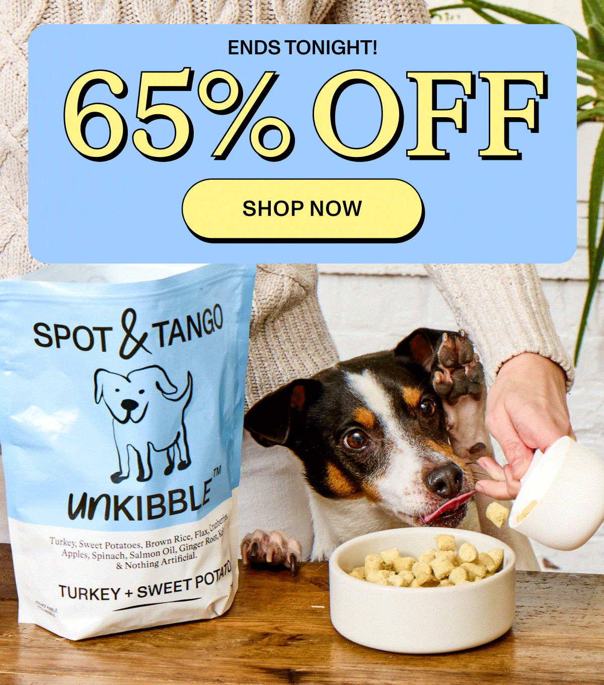 65% OFF - Ends Tonight! Shop Now