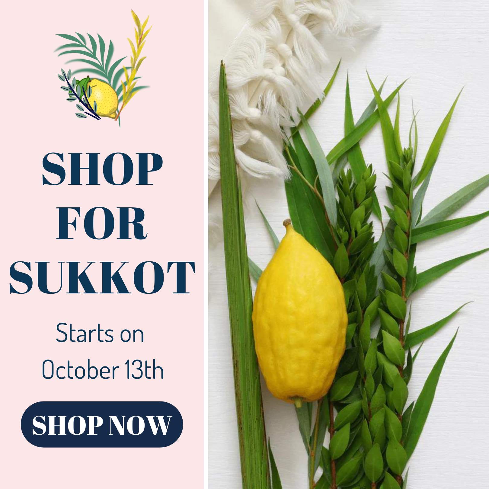 Shop all Sukkot