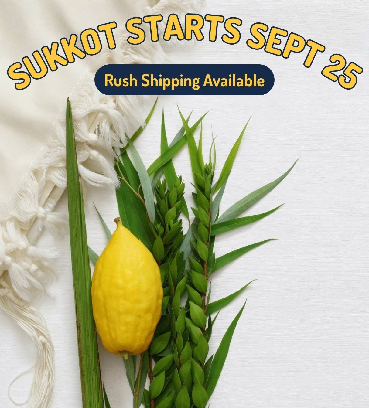 Sukkot has rush shipping!