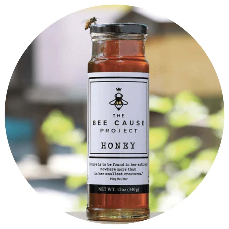 Bee Cause Honey