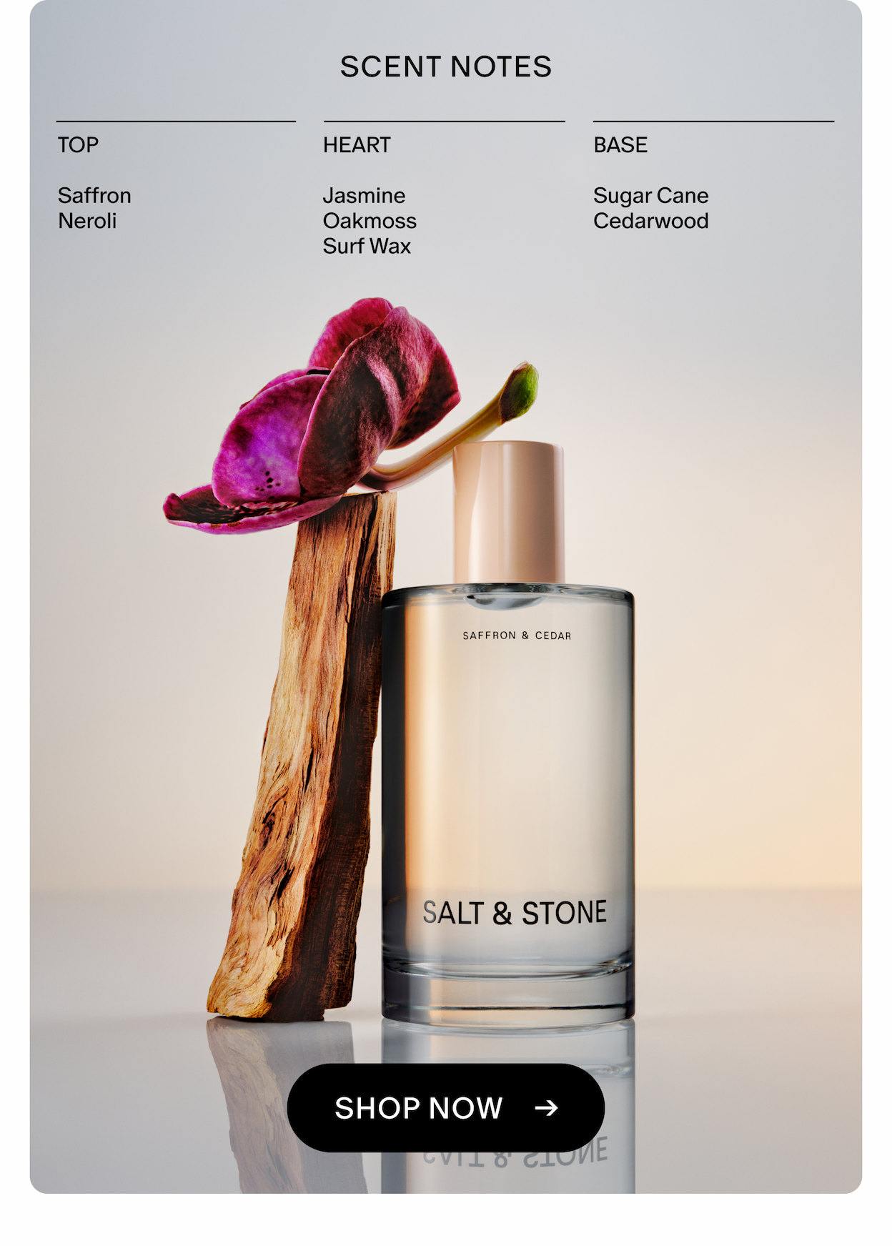 scent notes