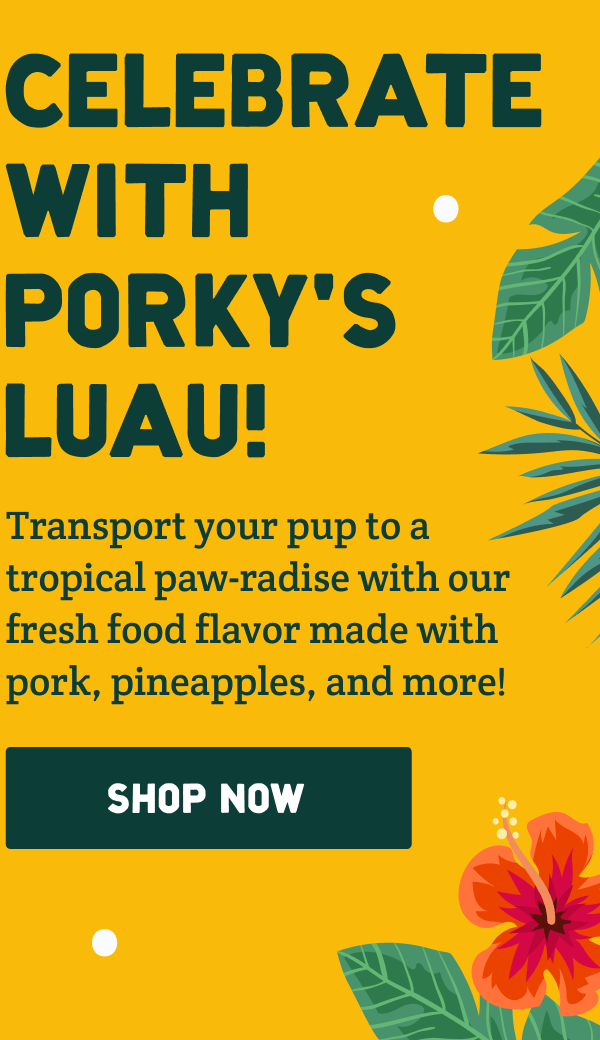 The perfect flavor for National Luau Month 🍍🌺 A Pup Above