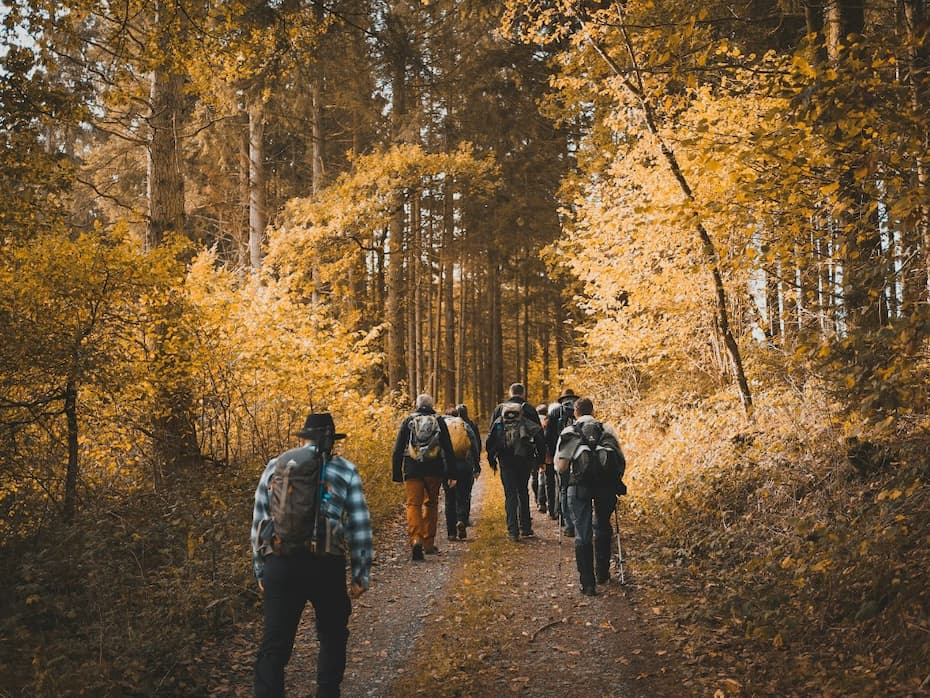 Outdoor trail scene for the 7-day move further challenge