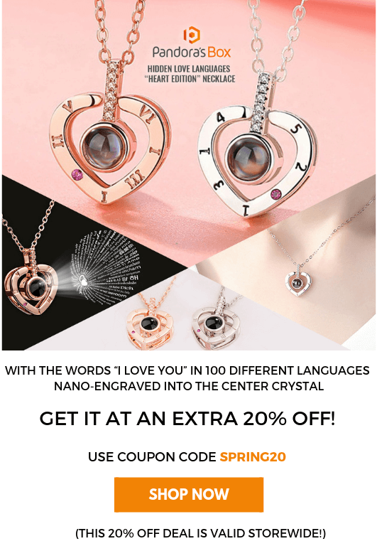 HIDDEN LOVE LANGUAGES
“HEART EDITION” NECKLACE