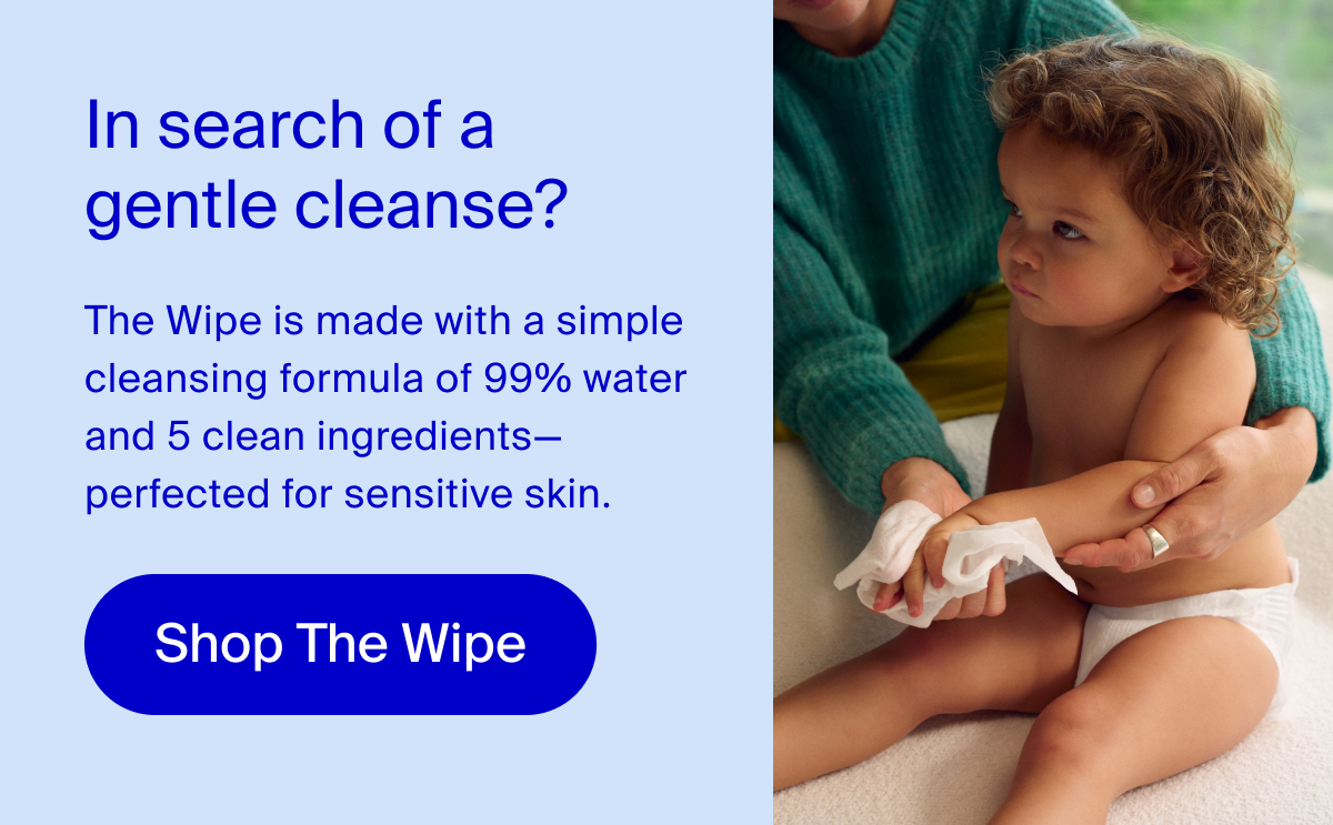 Shop The Wipe